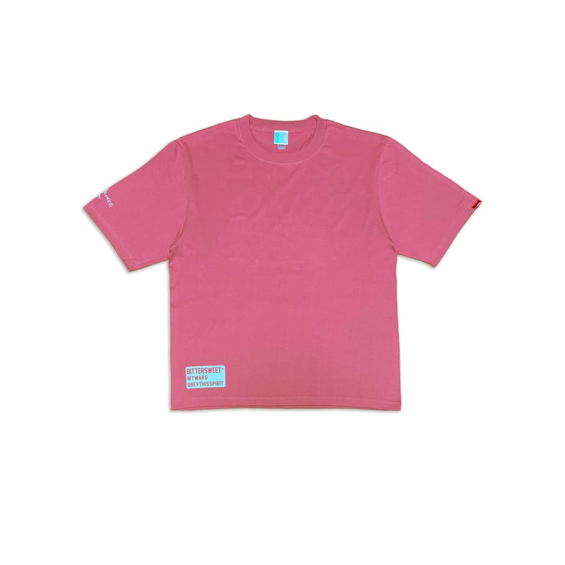 salsation★フードT★ピンク★サイズXL ONELOOP BIG Tee フラミンゴピンク LサイズXLサイズ | フィットネス