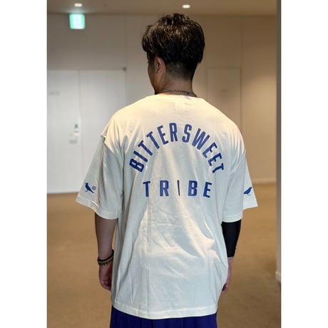 BitterSweet WORLD TRIBE TRI-BLEND BIG Tee　ヴィンテージブラック　MサイズLサイズ