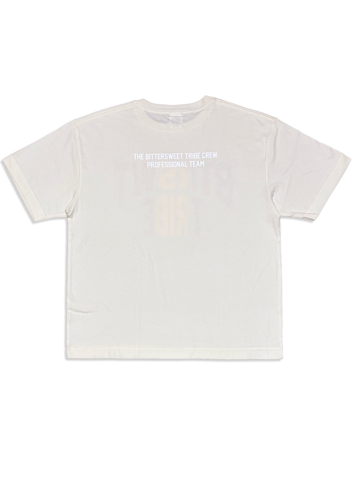 CITY LOGO TRI-BLEND BIG Tee ヴィンテージホワイト MサイズL