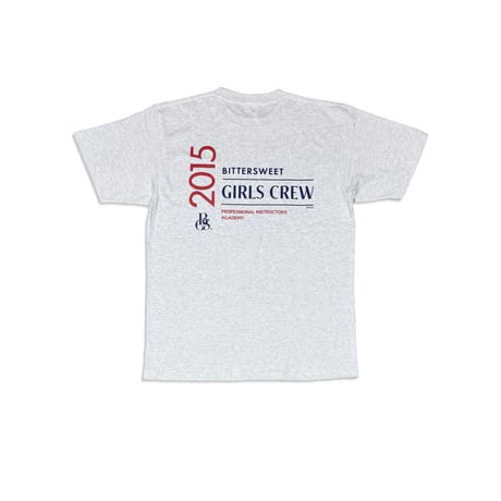 PRO INSTRUCTORS ACADEMY Tee　アッシュ　MサイズLサイズXLサイズ