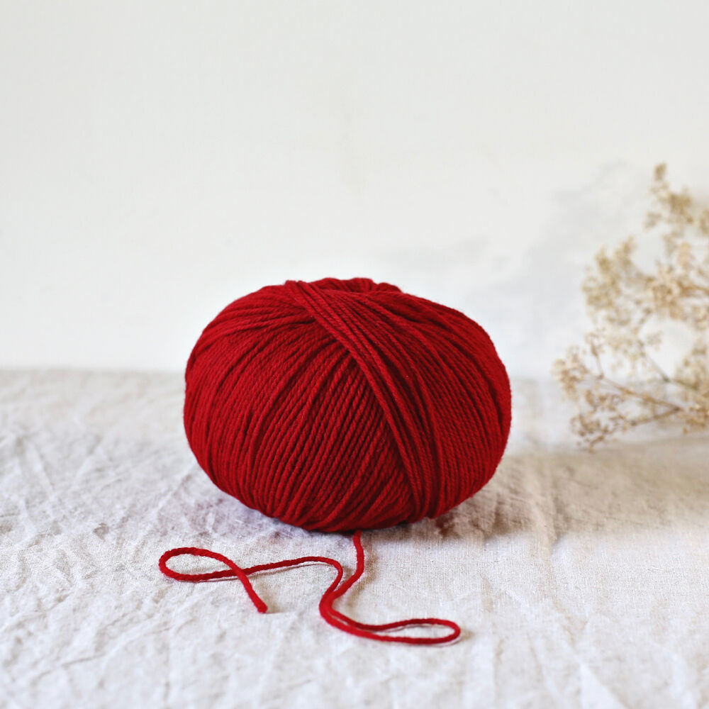 Gilliatt from De rerum natura 赤系 | EYLUL yarns