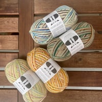 RetrosariaRosaPomar　Mondim M シリーズ　段染め