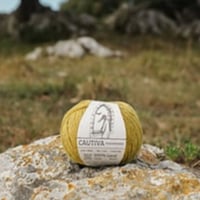 Wool Dreamers 　CAUTIVA カラフル色