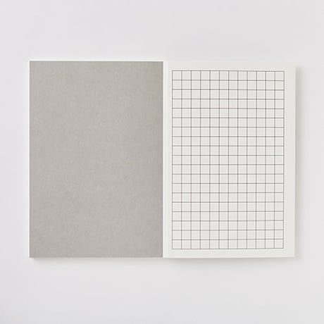 WEEKLY NOTE/COLOR