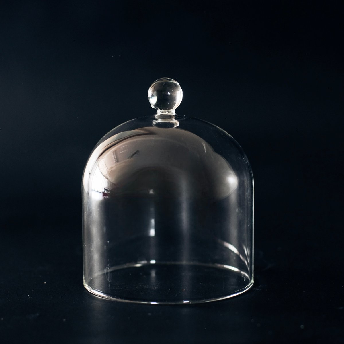 ご成約済み⌘ ガラスドーム ⌘ ガラスコンポート ガラス受皿付き ご成約済み⌘ ガラスドーム ⌘ ガラスコンポート ガラス受皿付き ご