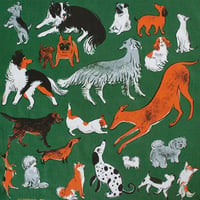 (H TOKYO)  DOG RUN