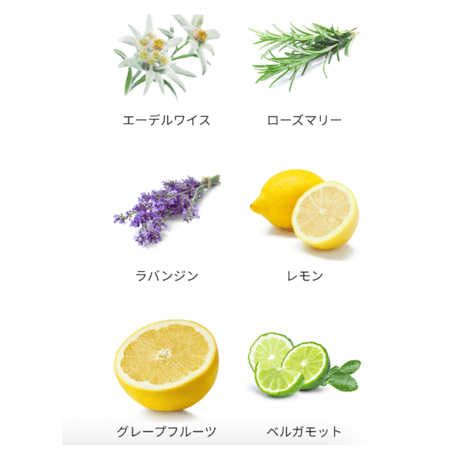 ボディスクラブ エーデルワイス 50g