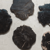 WOOD COASTER Black