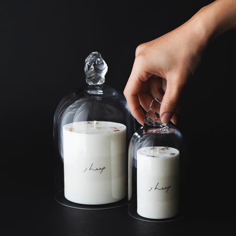 SOYCANDLE / LEMONGRASS