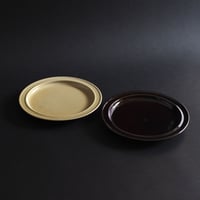 REGULAR PLATE