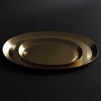 ブラストレイ 楕円形