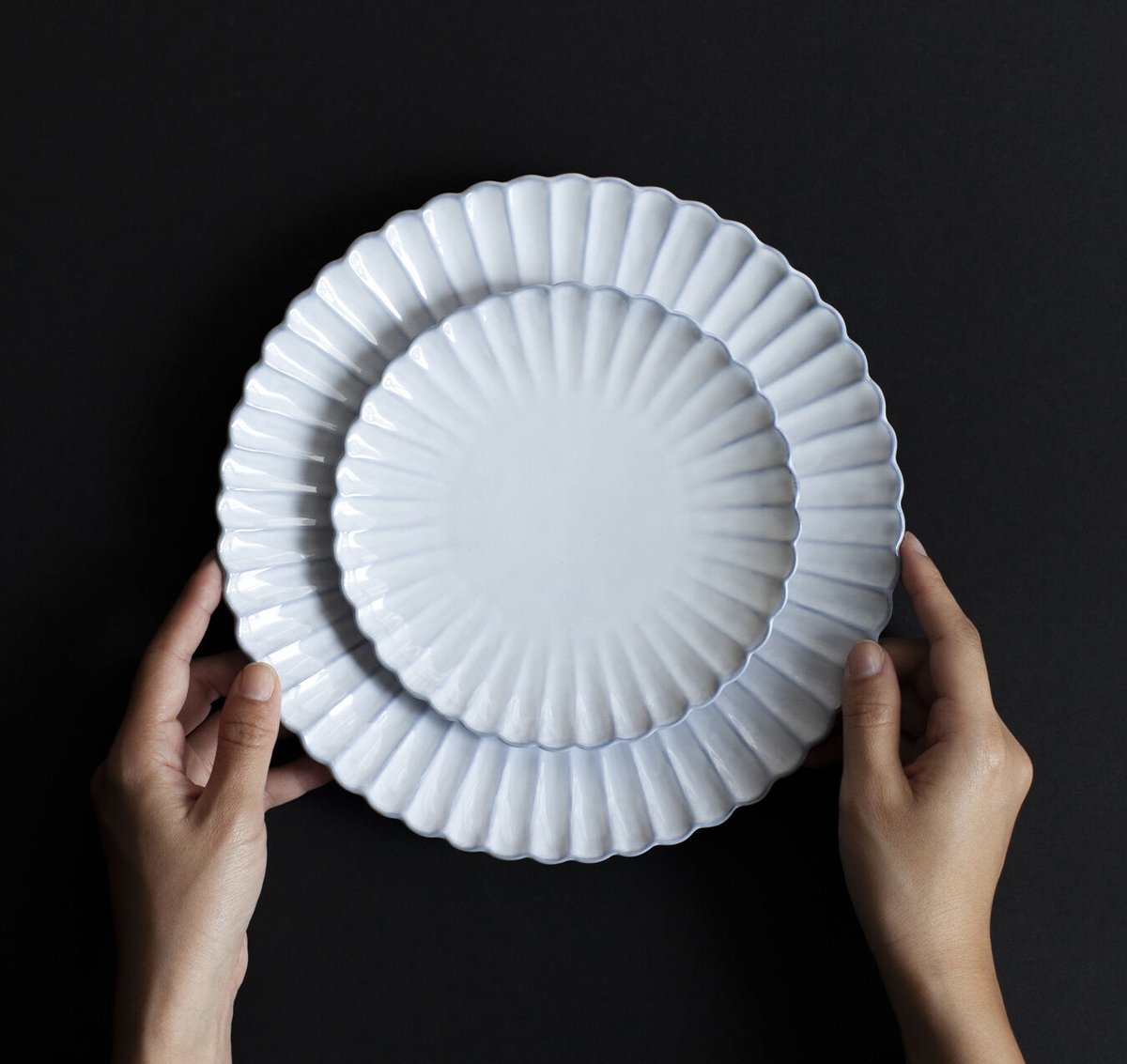 フランス 菊割皿 16cm | 道具屋 nobori