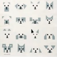 (H TOKYO)  Hunde/ブルーグレー