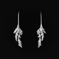 HERB 01