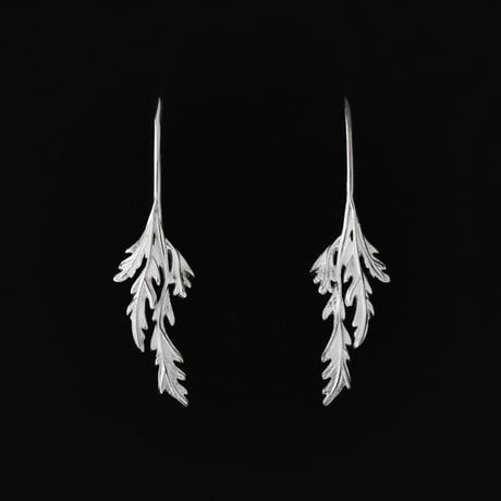 HERB 01