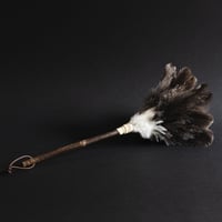 ダチョウ羽ばたき 中