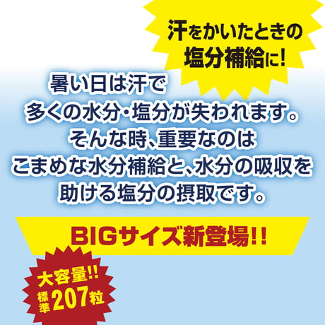 塩分チャージタブレッツBIG・1袋650g（約207粒）×6袋（1箱）