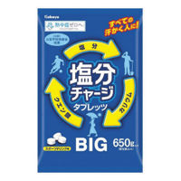 塩分チャージタブレッツBIG・1袋650g（約207粒）×6袋（1箱）