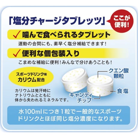 塩分チャージタブレッツBIG・1袋650g（約207粒）×6袋（1箱）
