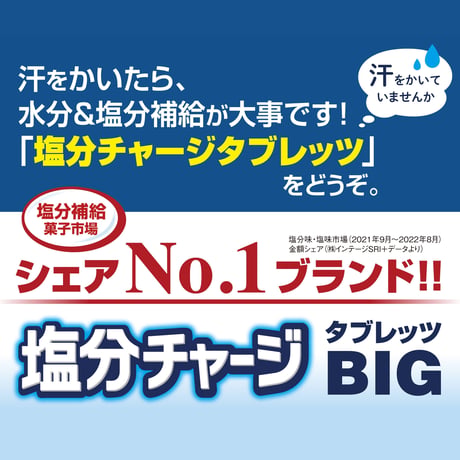 塩分チャージタブレッツBIG・1袋650g（約207粒）×6袋（1箱）