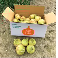 ヒシイケ家の淡路島産（玄米） ［2025年度産］30kg | A&H Farm｜淡路島