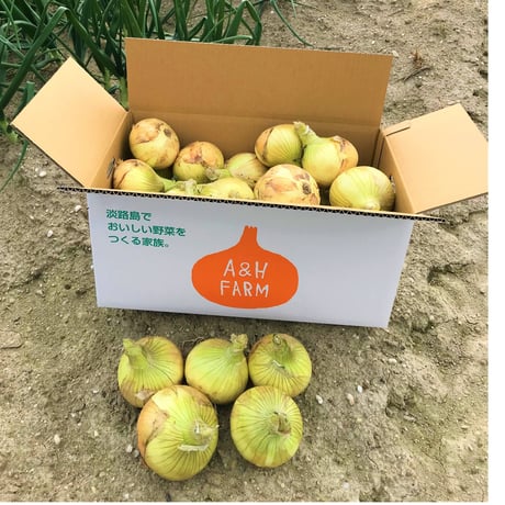淡路島産野菜10キロ箱 A&H Farm｜淡路島でおいしい野菜をつくる家族。