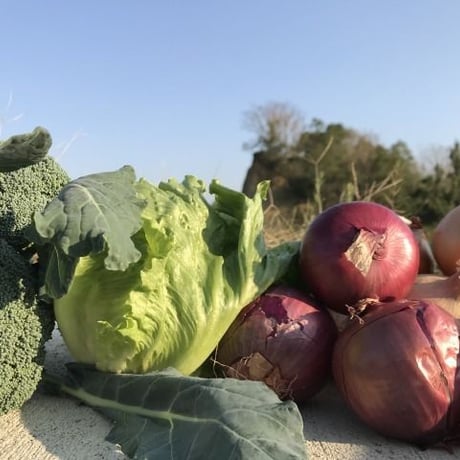 季節の野菜詰め合わせ