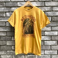 【National Parks Conservation Association】 "RedWood" Tee レッドウッド