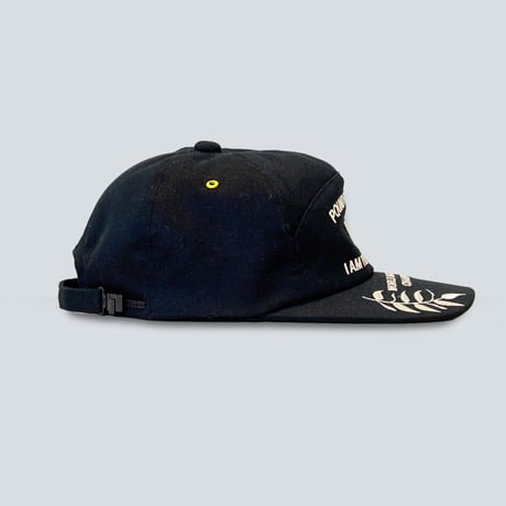 CAP-10 PFP