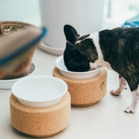BUDDY BOWL (POTTERY)