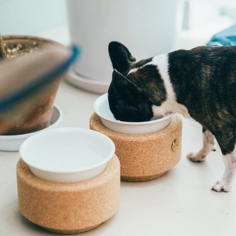 BUDDY BOWL (POTTERY)