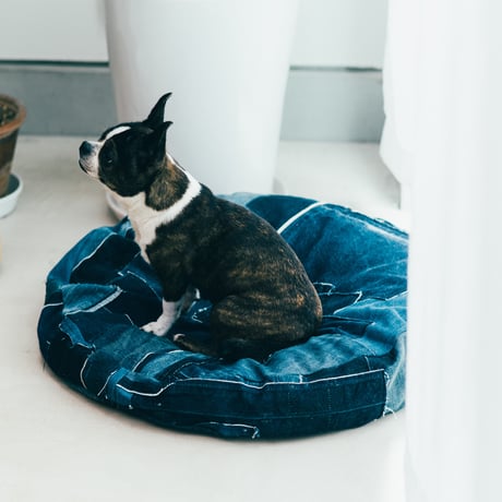 BUDDY BED ( ROUND)