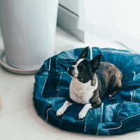 BUDDY BED ( ROUND)