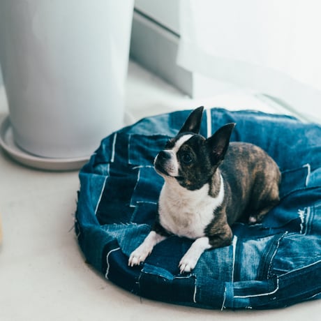 BUDDY BED ( ROUND)