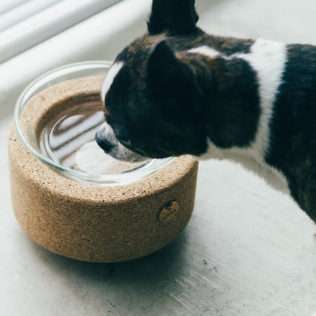 BUDDY BOWL (GLASS)