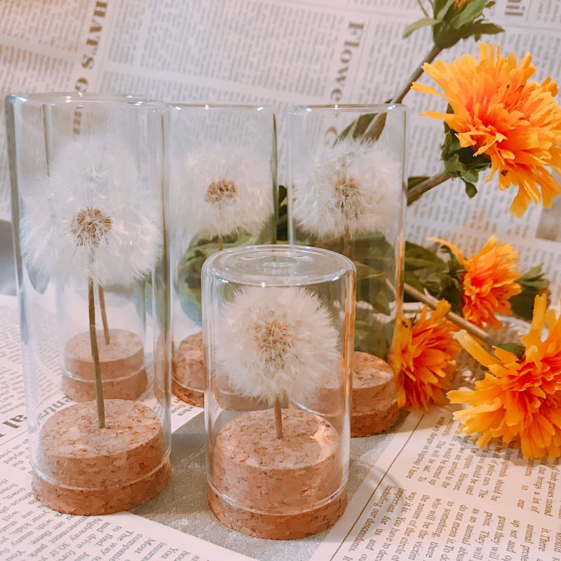 たんぽぽ綿毛ドライフラワー ガラスドーム ボトルフラワー 綿毛ドライフラワー✨ たんぽぽランプ》LEDライト付 綿毛ドライフラワー ボトルフラワー わた
