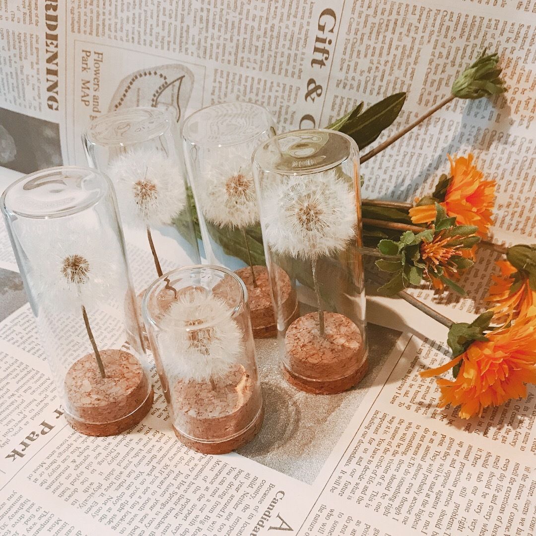 たんぽぽの綿毛(ドライフラワー) | たむらたむら from 〜the fluff of