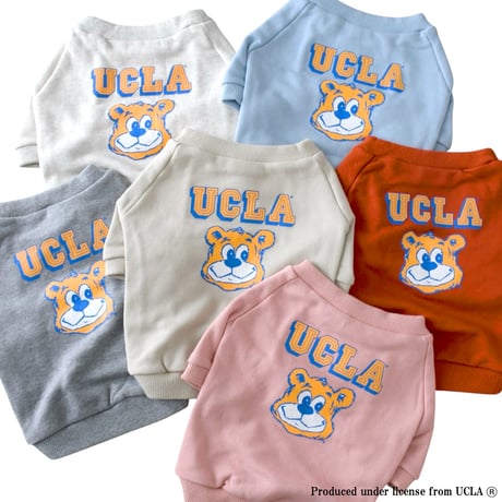 UCLAカレッジプリントスウェット（サンドベージュ）
