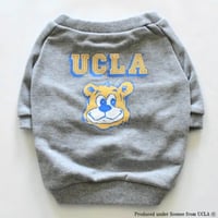 USAカレッジプリントトレーナー（UCLA/グレー）