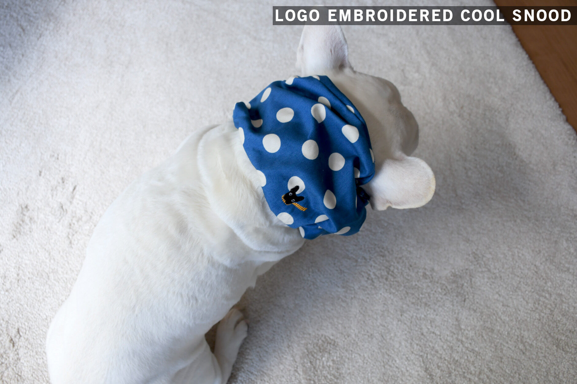 Bowders Border | バウダーズボーダー | フレンチブルドッグの犬服と雑貨