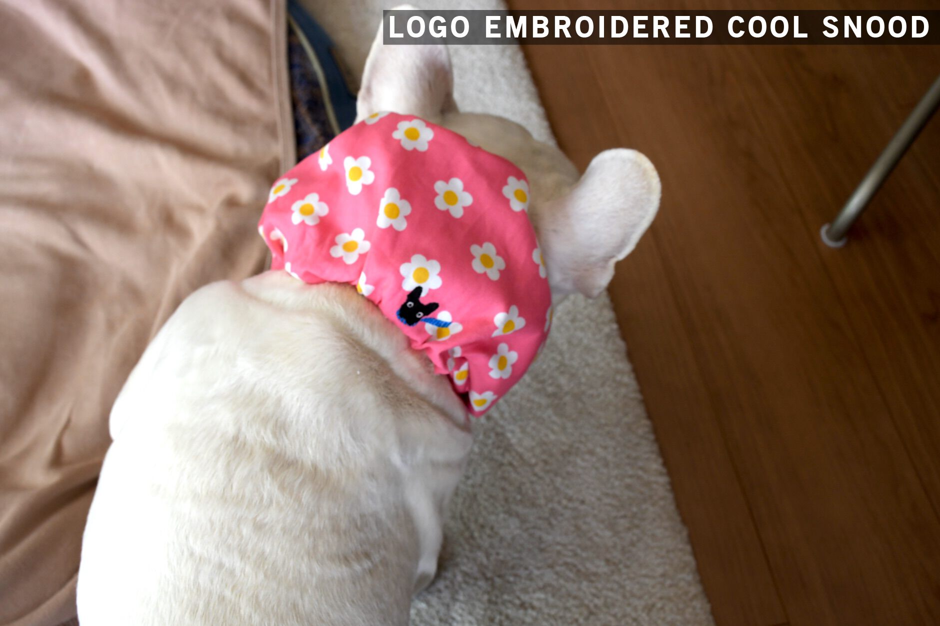 Bowders Border | バウダーズボーダー | フレンチブルドッグの犬服と雑貨