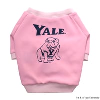 YALEダンプリントワッフルTシャツ（ピンク）