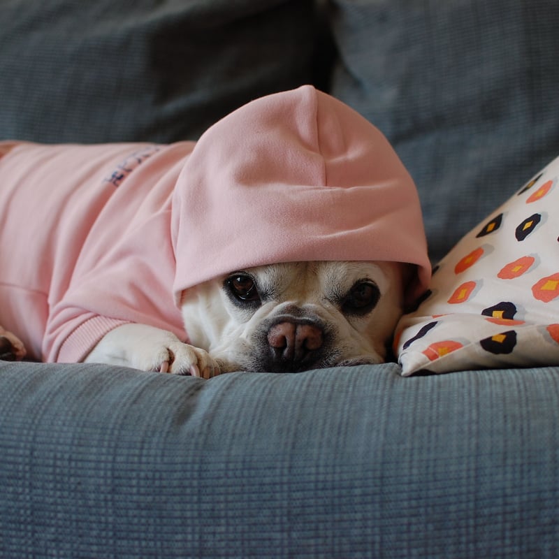 146 パーリーゲイツ 長袖パーカー スエット フード ピンク チェック 0