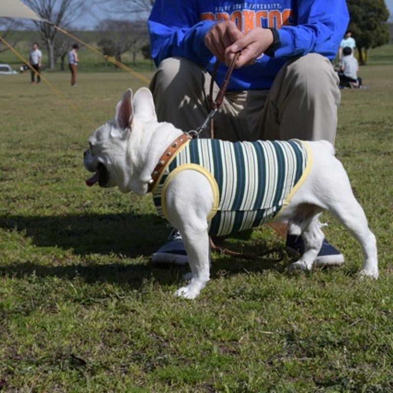 マルチボーダータンクトップ（グリーン×イエロー） | Bowders Border