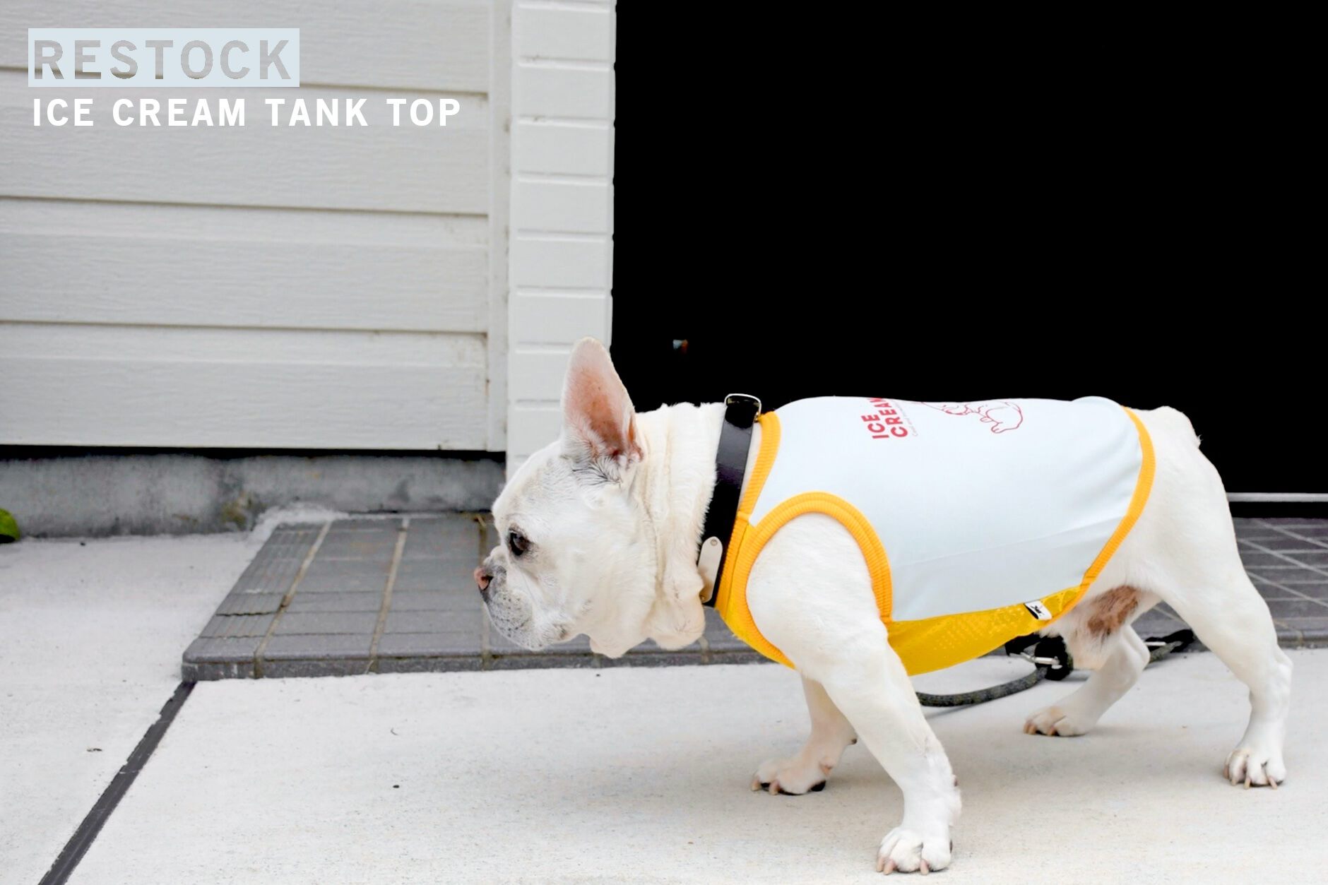 Bowders Border | バウダーズボーダー | フレンチブルドッグの犬服と雑貨
