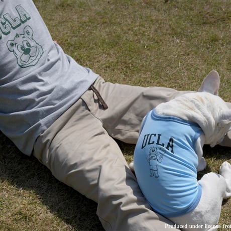 UCLA BEARプリントTシャツ（グレー）