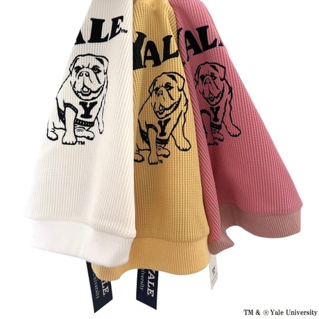 YALEダンプリントワッフルTシャツ（ホワイト）