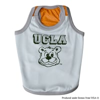 UCLA BEARプリントメッシュタンク（グレー）