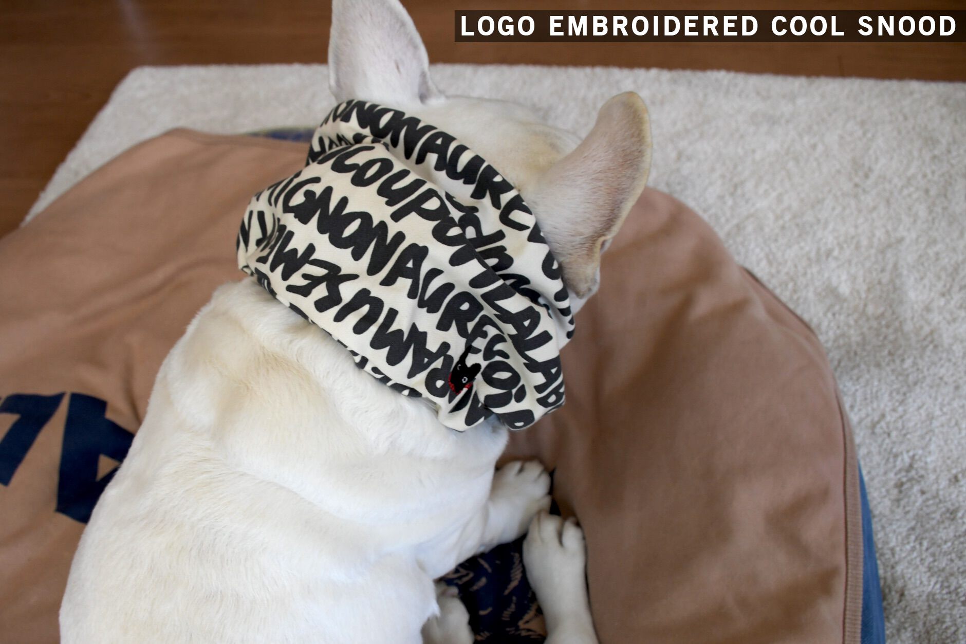 Bowders Border | バウダーズボーダー | フレンチブルドッグの犬服と雑貨