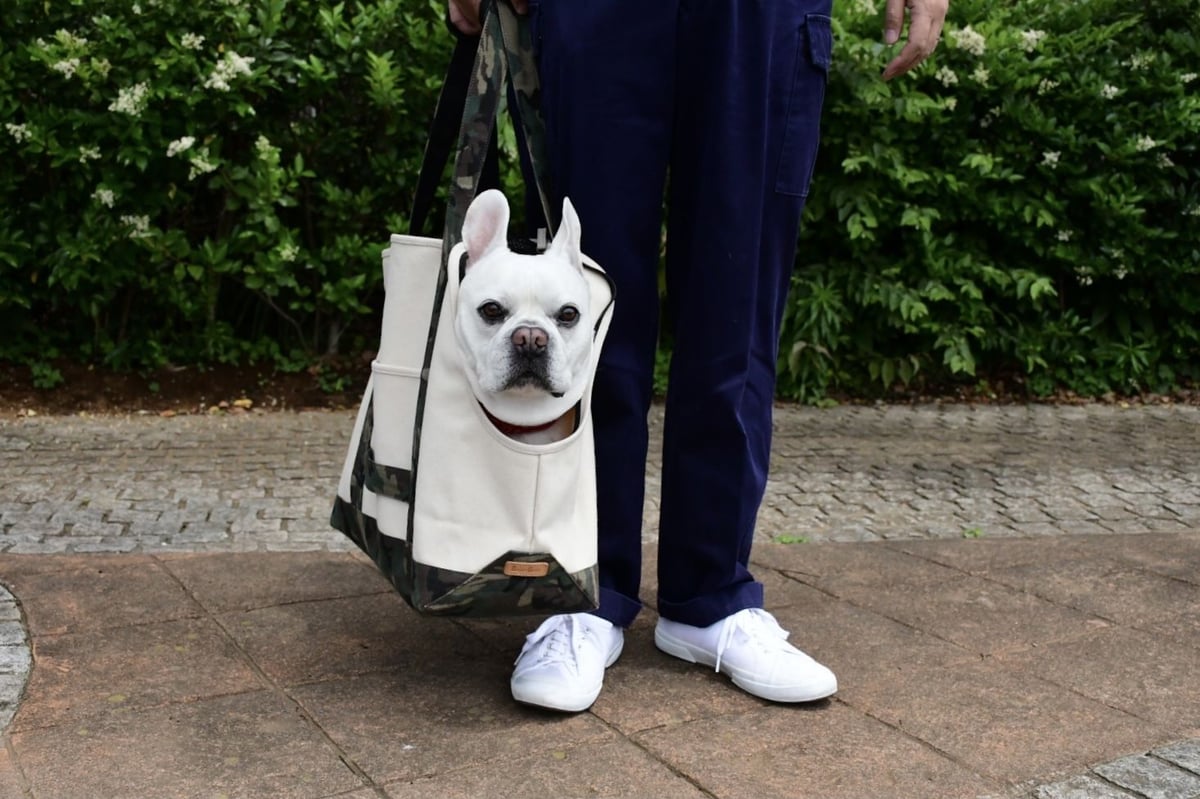 ドッグキャリートートバッグ再入荷のお知らせ | Bowders Border